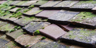Fordham roof repair costs